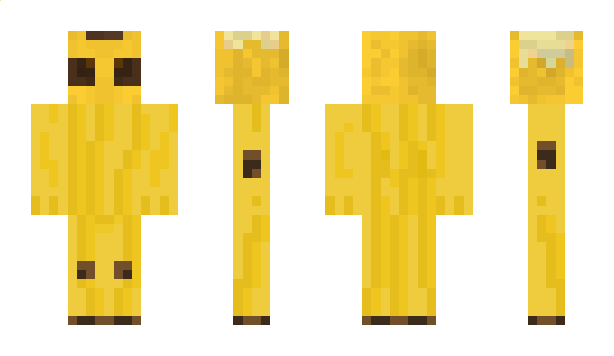 Koopa_Shell Minecraft Skin