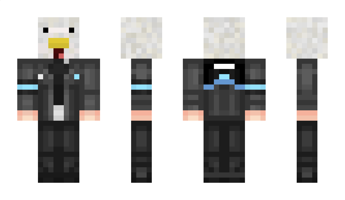 DerNini Minecraft Skin