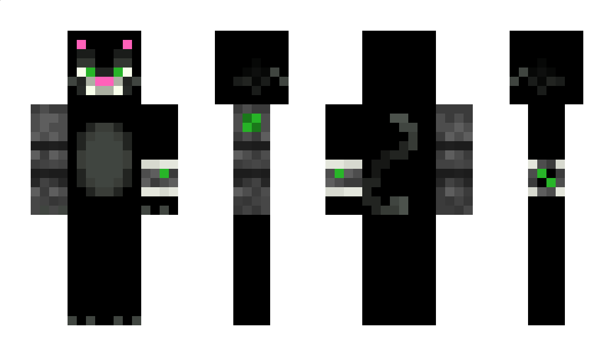 Blackcat_700 Minecraft Skin