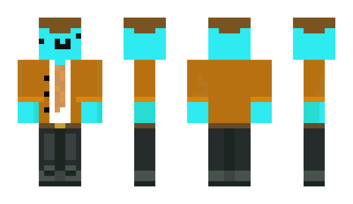 Mr_Bagarn Minecraft Skin