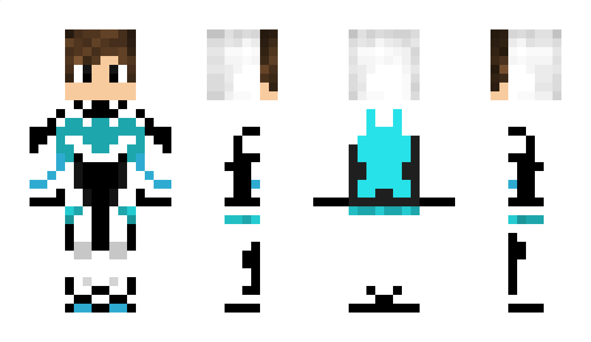 STEELWING01 Minecraft Skin