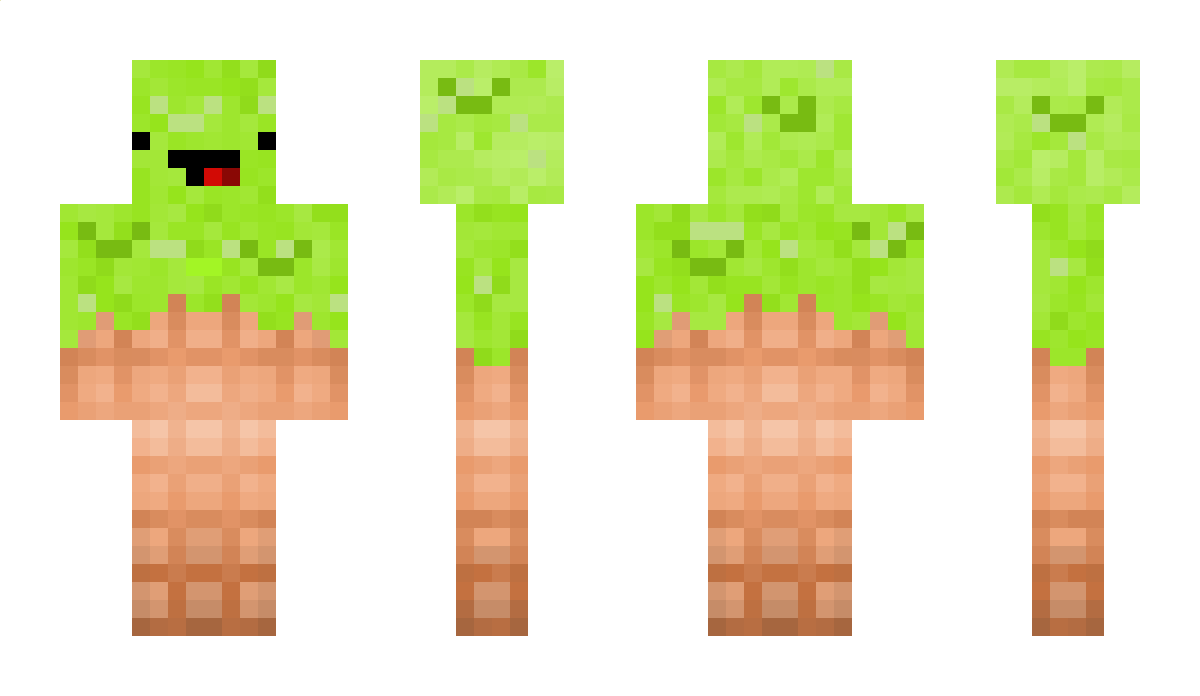 SoK05 Minecraft Skin