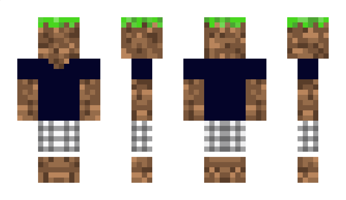 BattleBlock Minecraft Skin