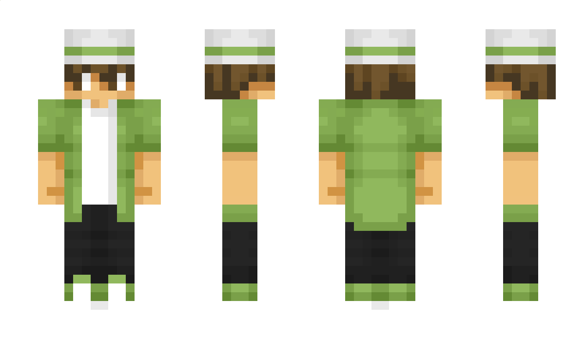 Barticle Minecraft Skin