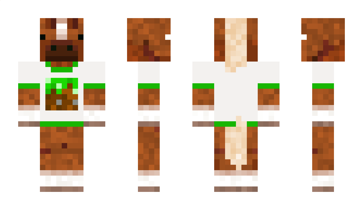 Joshuality Minecraft Skin