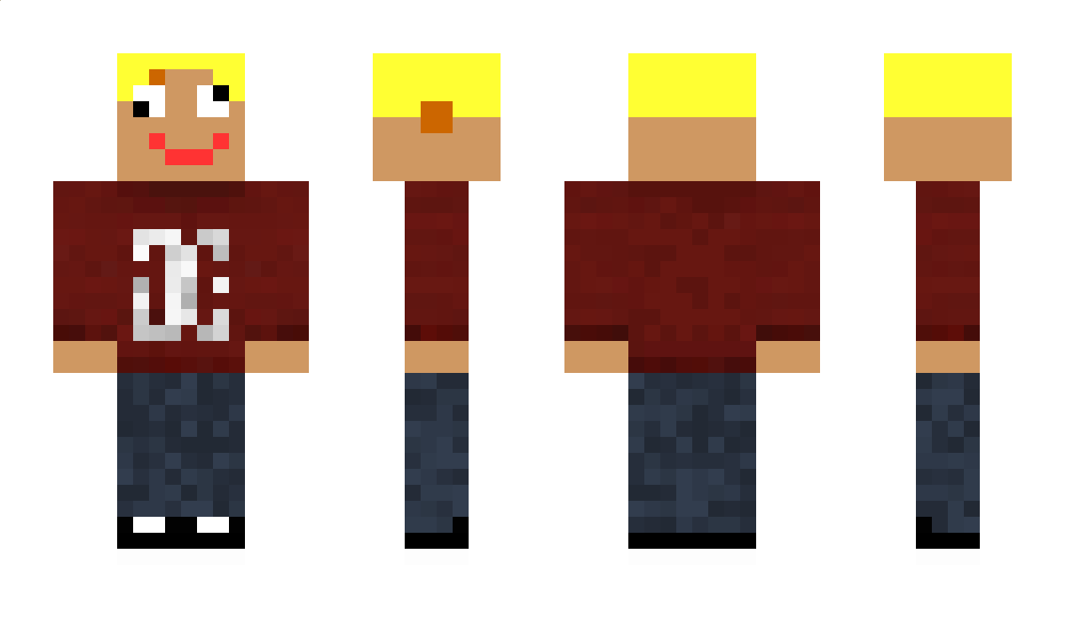 FrytaMaSkrypta Minecraft Skin