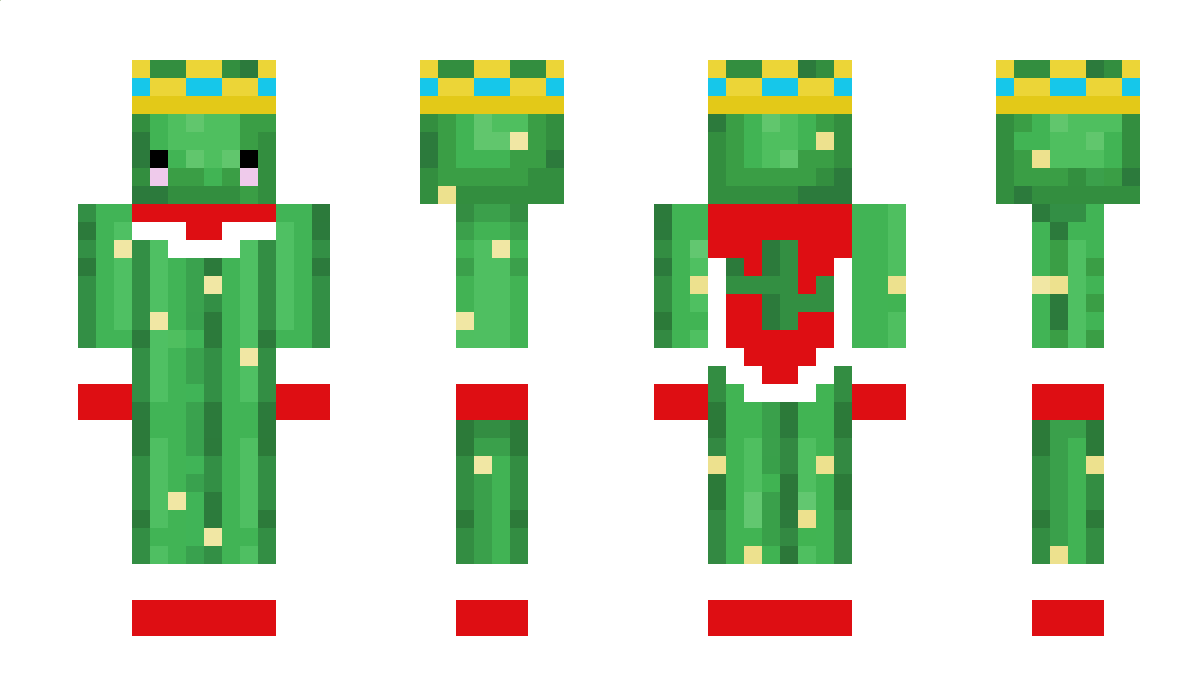 Omer770 Minecraft Skin