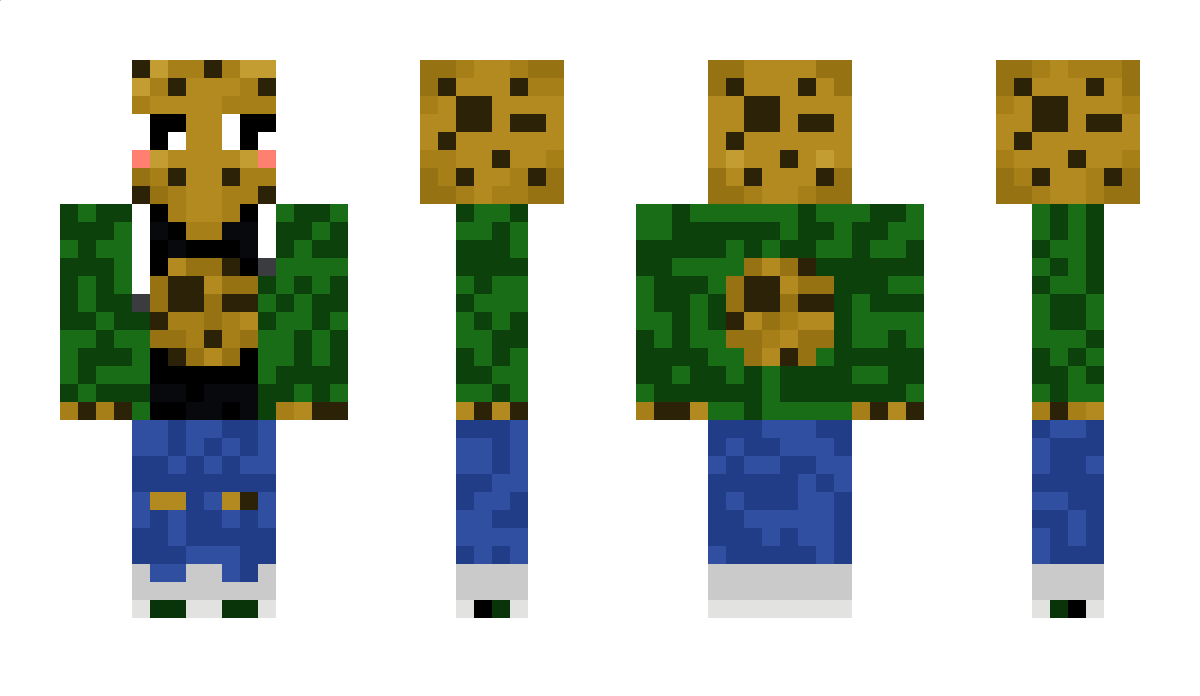 cookie848888 Minecraft Skin