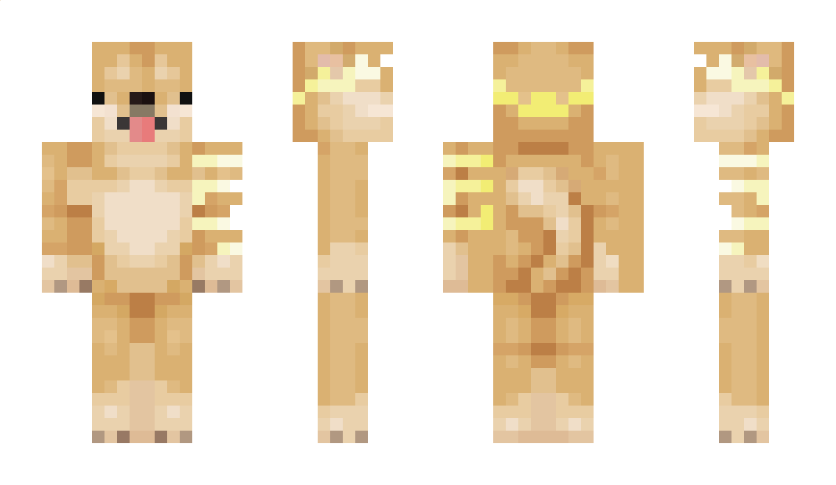 DanishMC Minecraft Skin