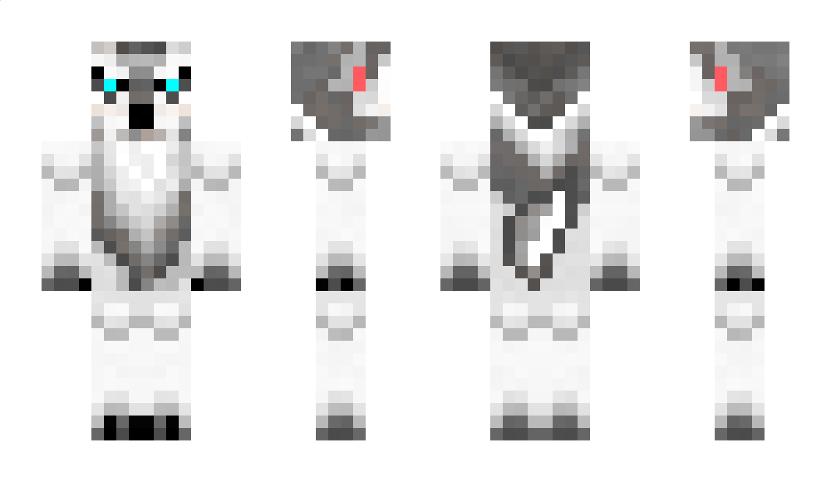 WOLFDRAGOBR Minecraft Skin