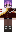 FexInt_ Minecraft Skin