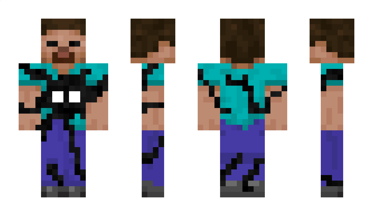 pollux_castor05 Minecraft Skin