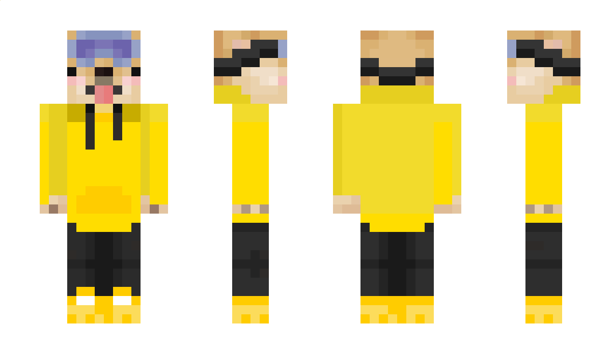 QSanity Minecraft Skin