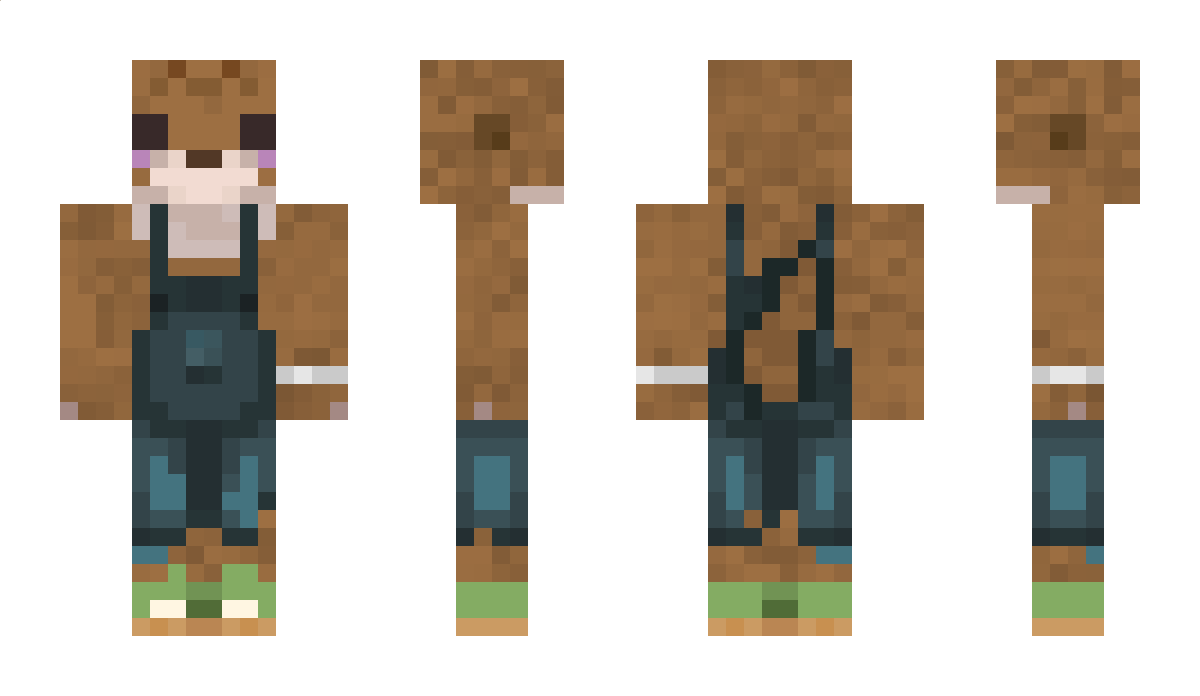 stealthninja8 Minecraft Skin