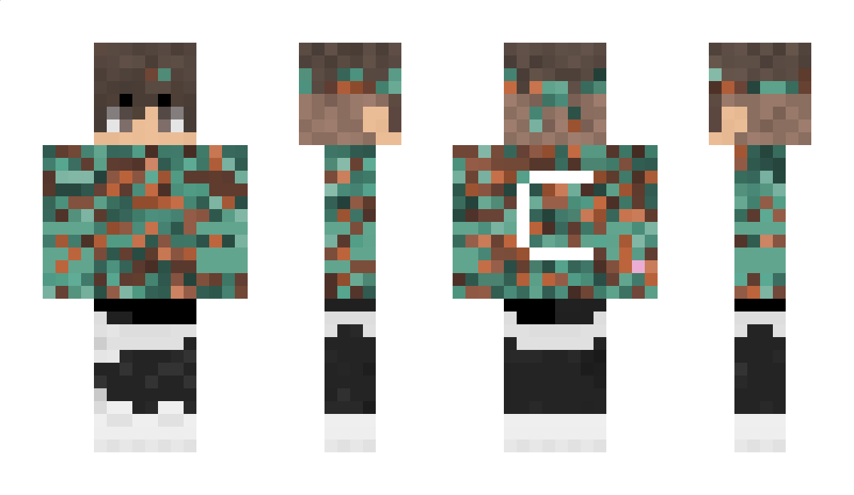 CodeControl Minecraft Skin