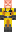 RadioactivePigg4 Minecraft Skin