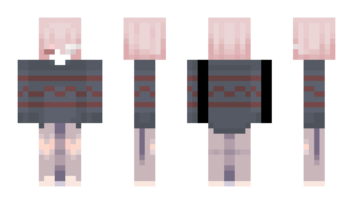 litteschnitte Minecraft Skin