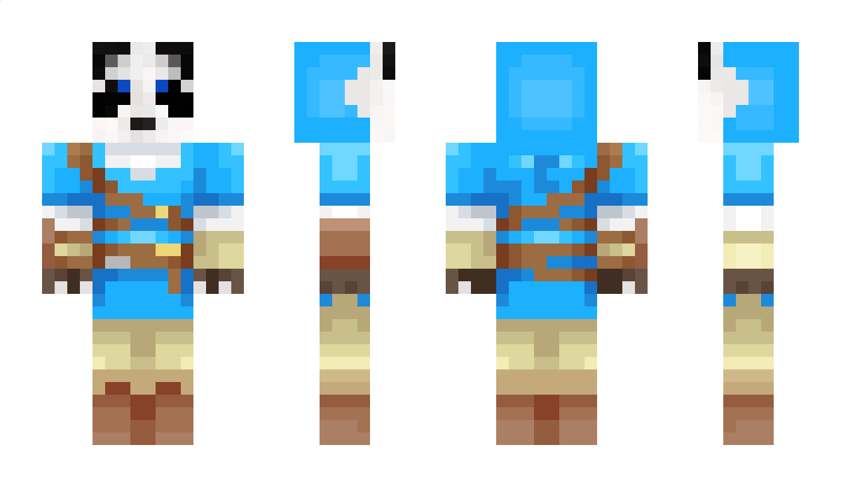 WhoJustGotAnLV2 Minecraft Skin