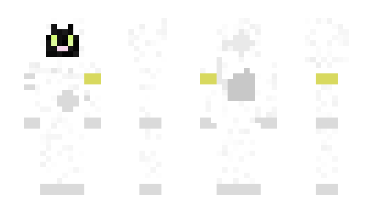 SpaceKitty Minecraft Skin