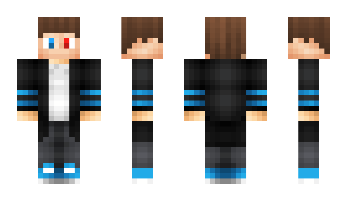 Steini Minecraft Skin