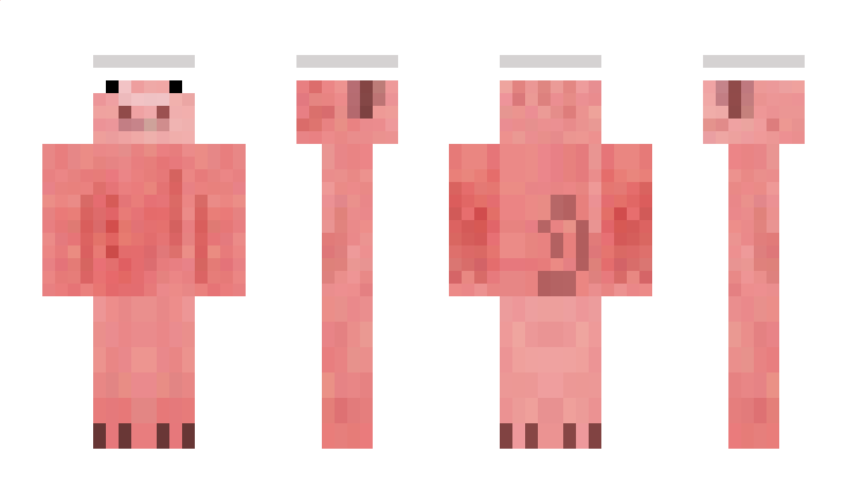 Trainers Minecraft Skin