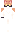 Potch Minecraft Skin