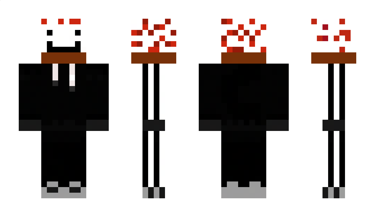 NPCraftin Minecraft Skin