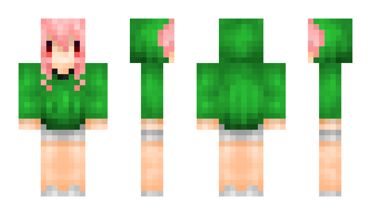 NNNNNNNNN Minecraft Skin