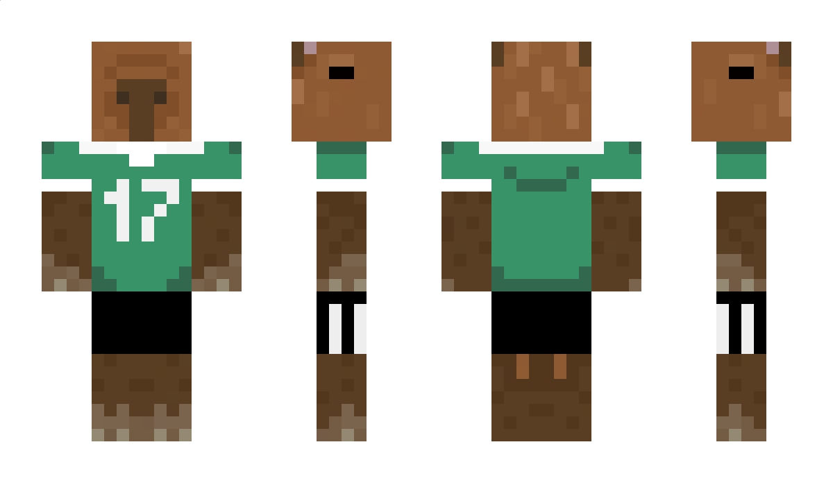 Tethong Minecraft Skin