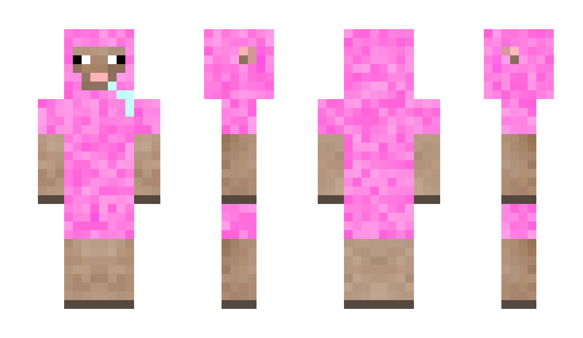 panowieczka350 Minecraft Skin