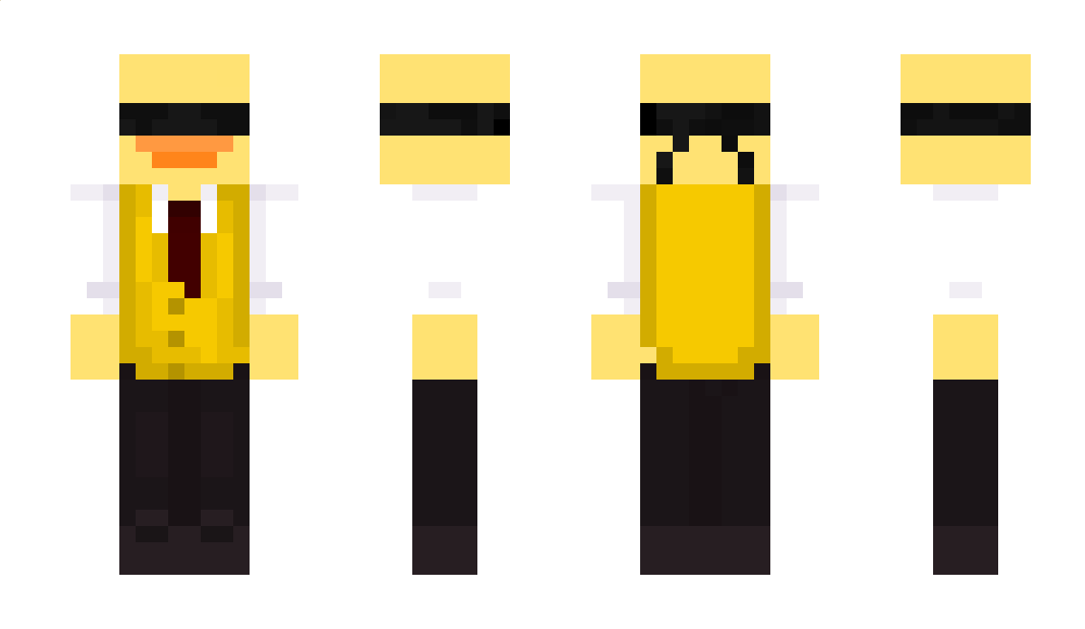 DuckyWW Minecraft Skin