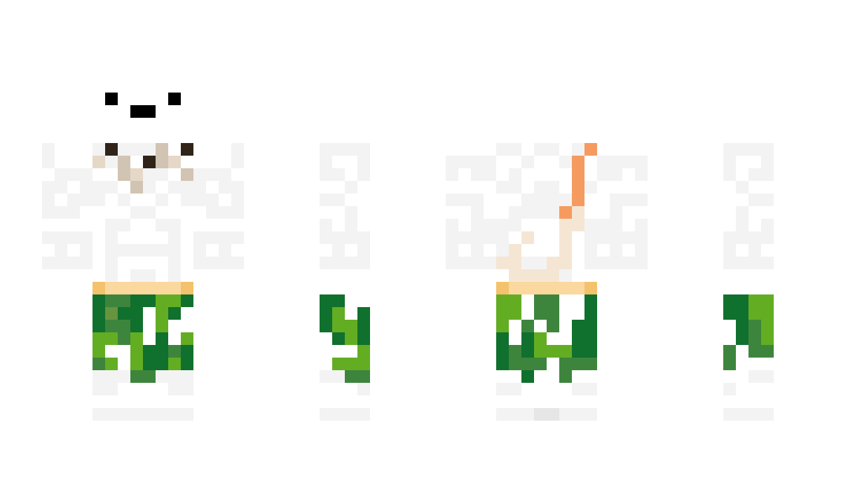 pudol Minecraft Skin