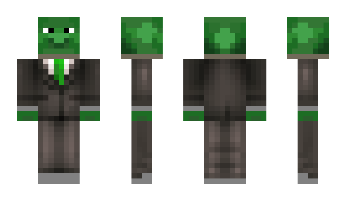 TurtleSp3 Minecraft Skin