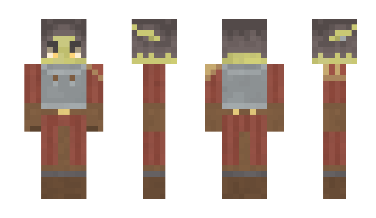 contatori Minecraft Skin