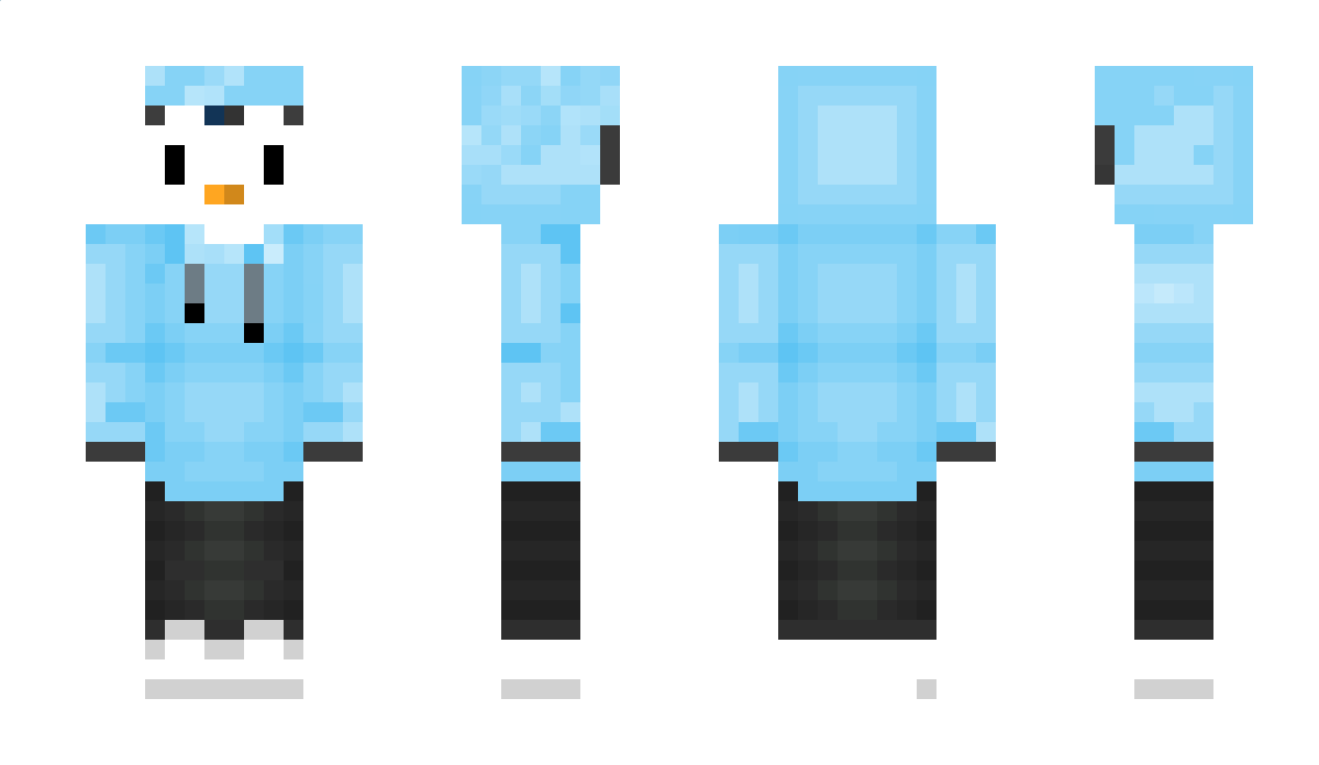 Hellododo123 Minecraft Skin