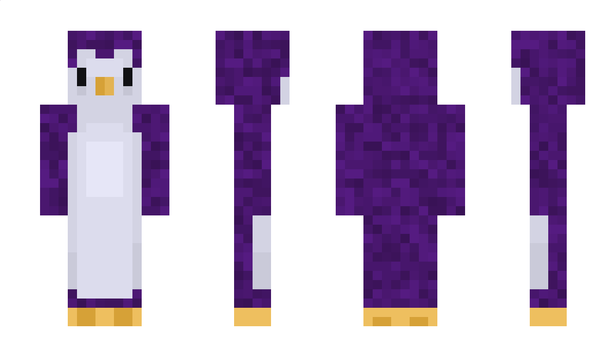 _AmirMC Minecraft Skin