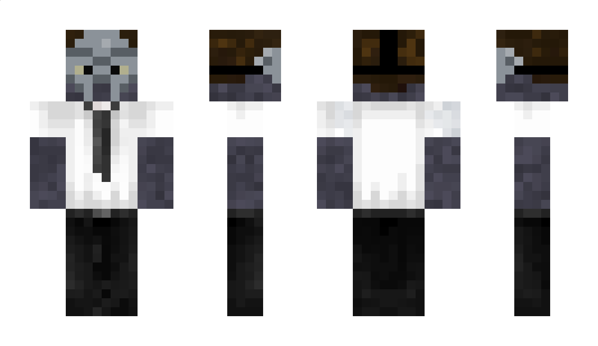 xbart21x Minecraft Skin