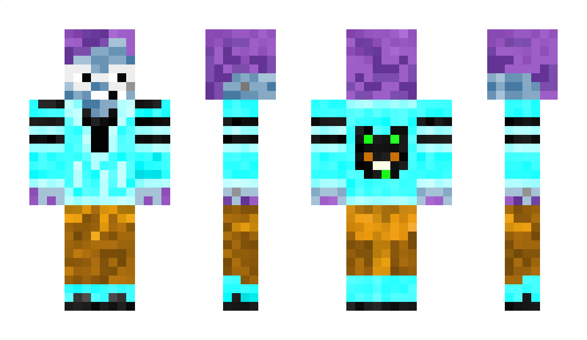 tird Minecraft Skin