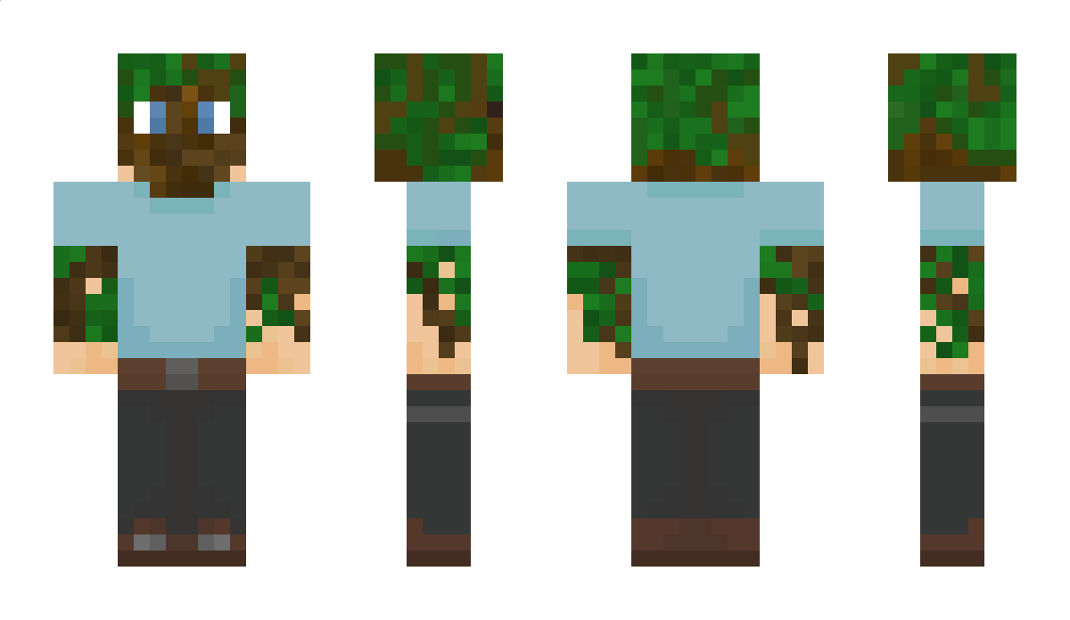 Herr_Holzkopf Minecraft Skin