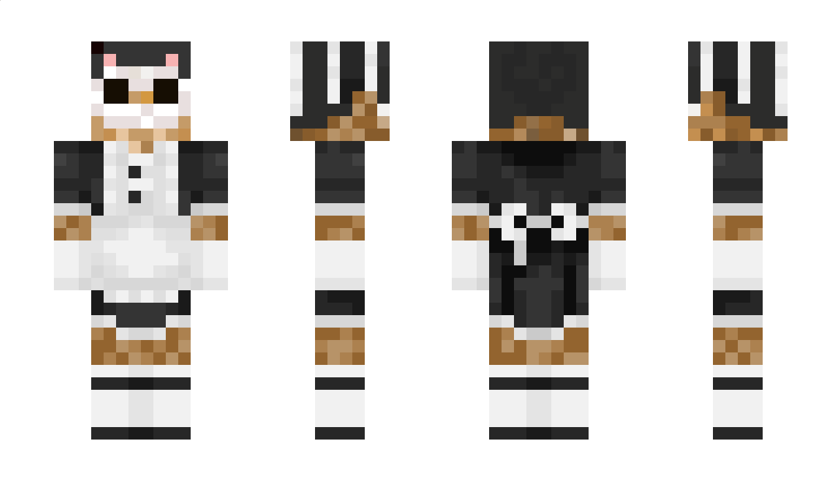 MrOwl Minecraft Skin