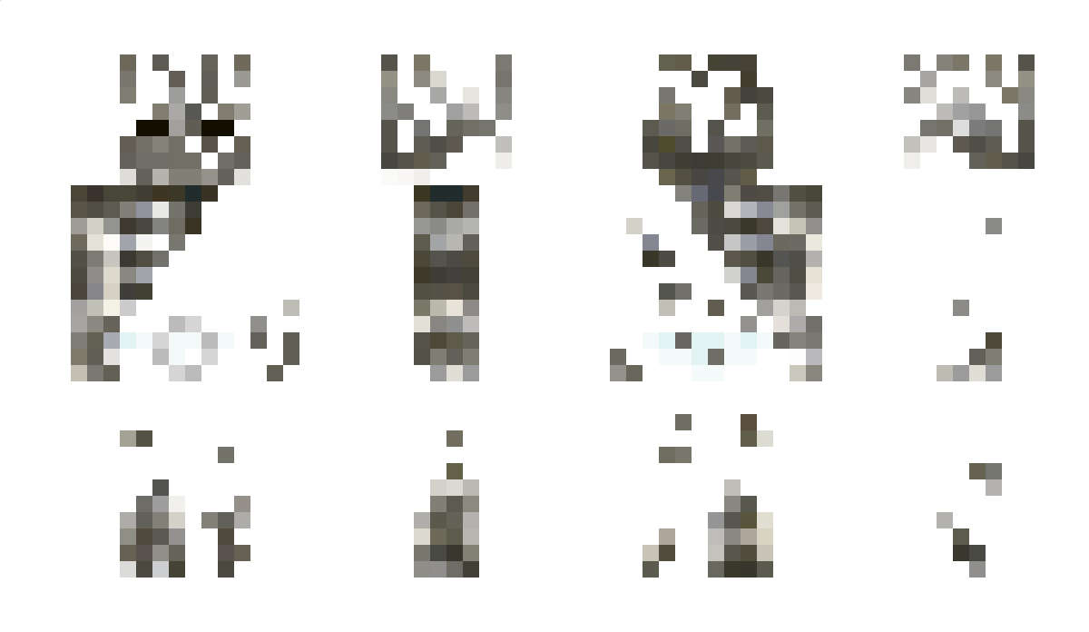 Veliviani_ Minecraft Skin