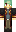 SwiftShadowFox Minecraft Skin