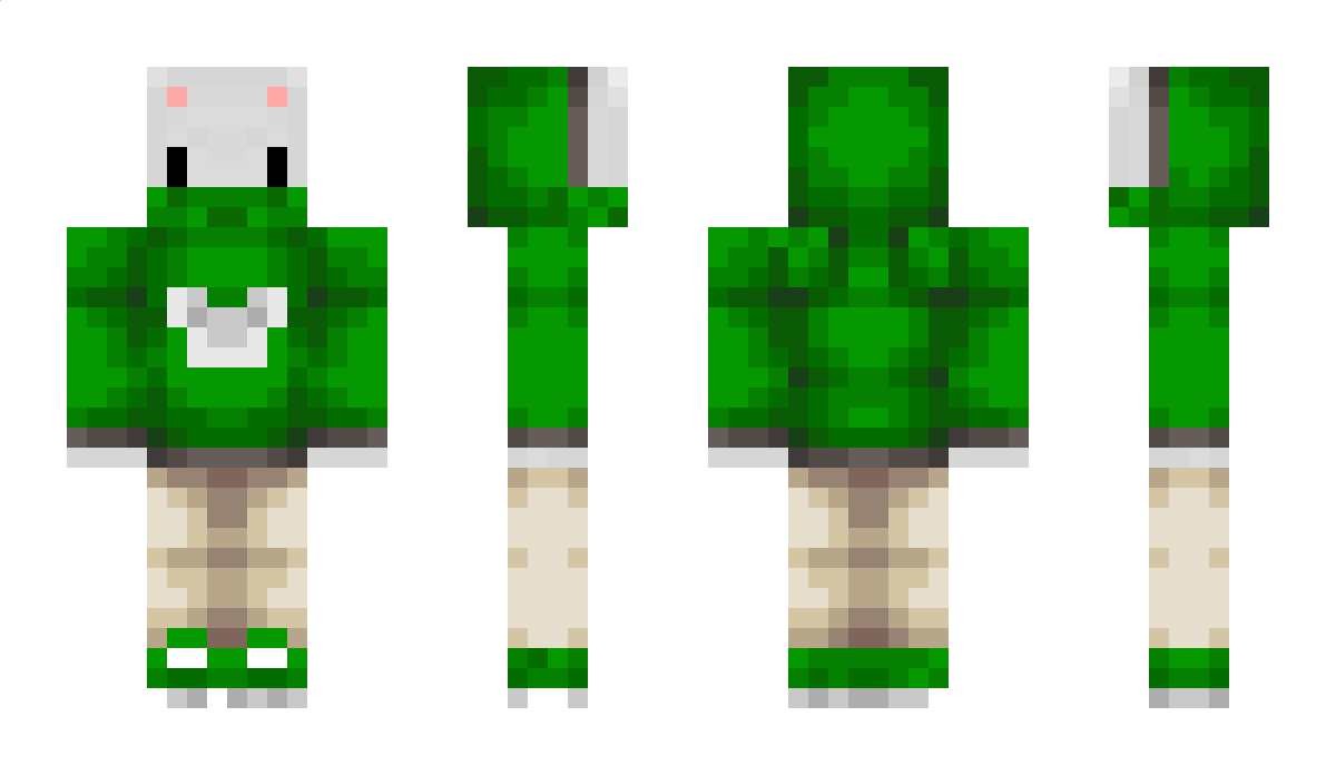 Swankykoala Minecraft Skin