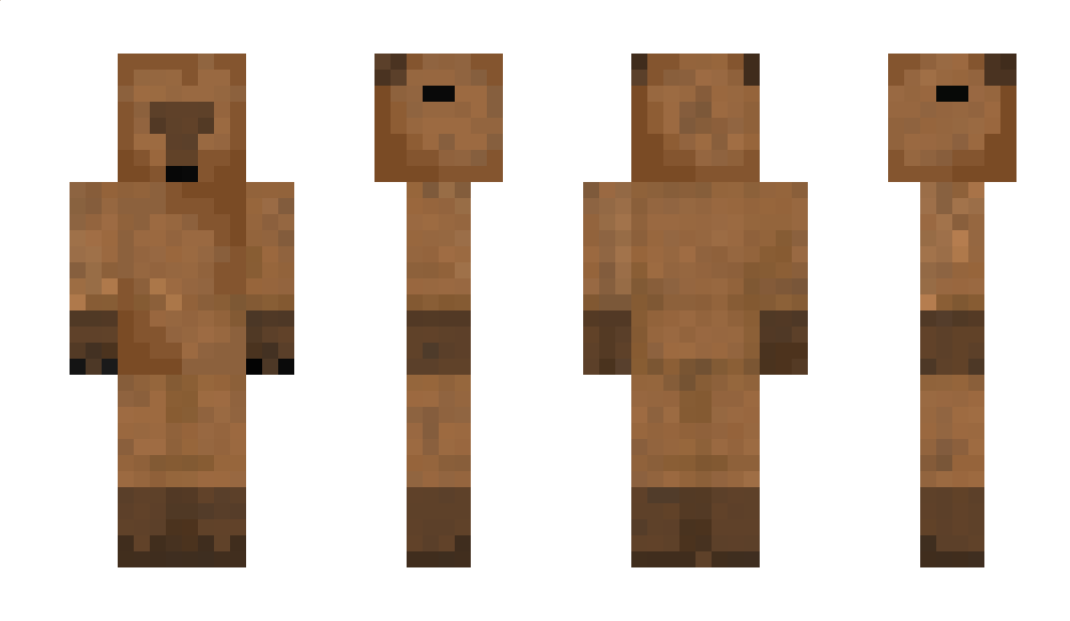BrownieeMC Minecraft Skin