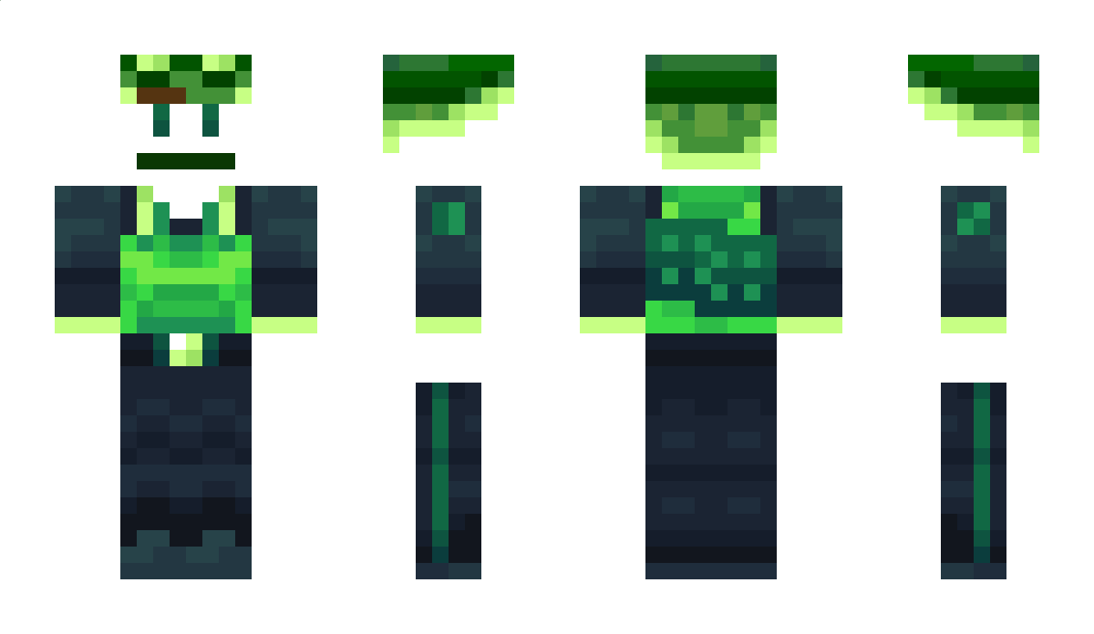 KermitoMC Minecraft Skin