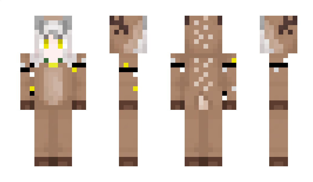 rashilol7623 Minecraft Skin