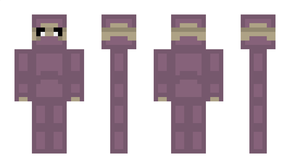 Teddsgme Minecraft Skin