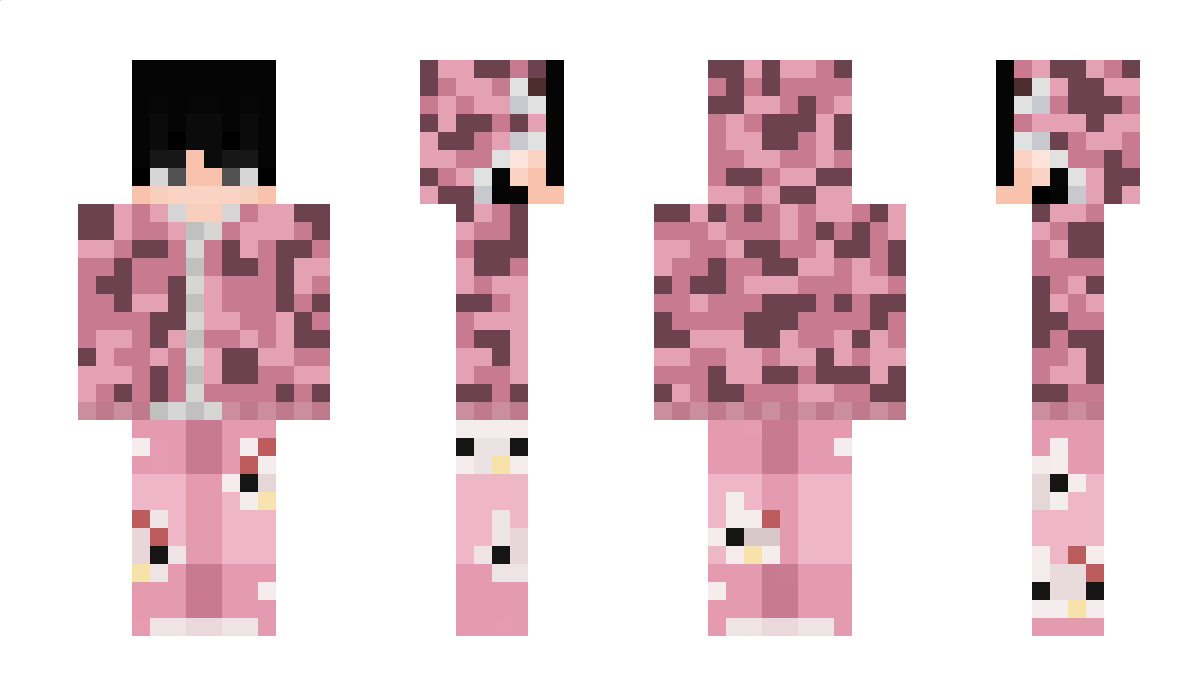 nikipro50 Minecraft Skin
