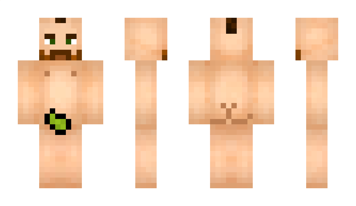 DjAlfox Minecraft Skin