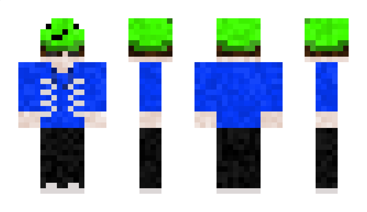 _TakaShiba_ Minecraft Skin